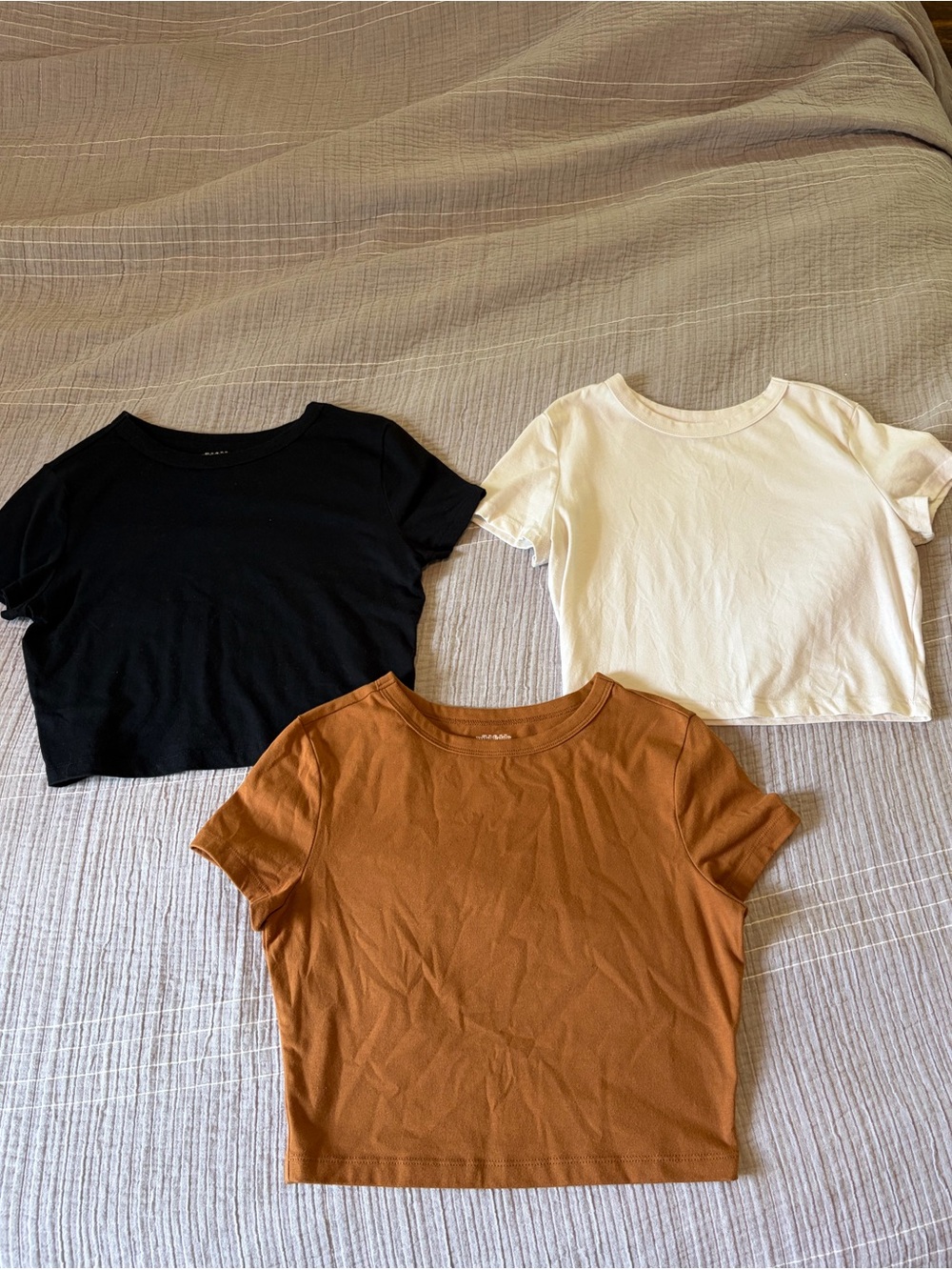 3 Wild Fable Tees